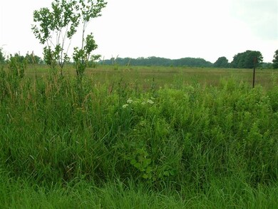 000 Crescent Rd, Byron, WI 54666 - photo 3