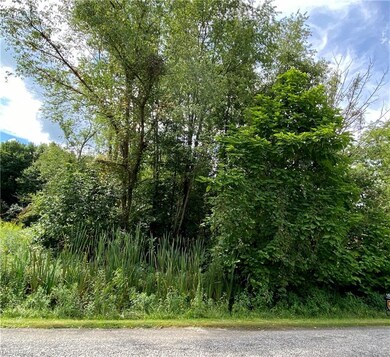 0 Woodlawn Dr unit 4208693, Doylestown, OH 44230 - photo 5