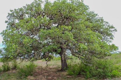 TBD Cr 341, Hondo, TX 78861 - photo 7