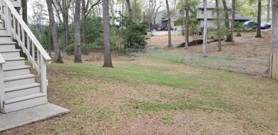Back Yard Stairs to kitchen Deck