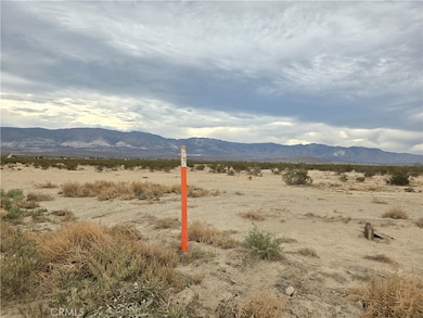 View of the parcel from corner of Camp Rock road and highway 247 (old womans srping road) South West Corner of Highway 247 and Camp Rock Road