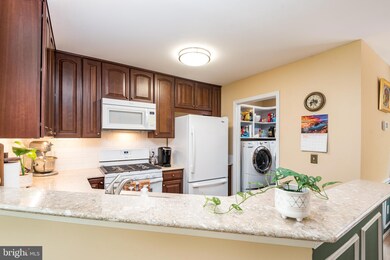 203A Fernwood Place, Warrenton, VA 20186 - photo 7