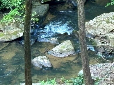 LOT 14 McAfee Knob Rd, Ellijay, GA 30510 - photo 5