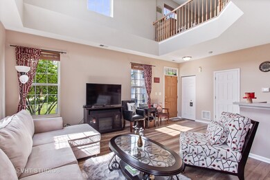 210 Springbrook Trail S, Oswego, IL 60543 - photo 3