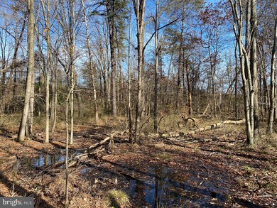 10900 Patuxent Ave, Glenn Dale, MD 20769 - photo 4