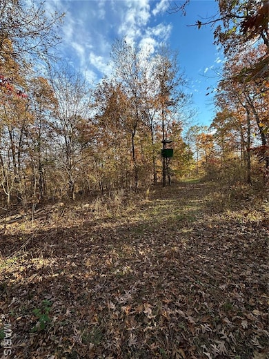 TBD Tract 5 Bobwhite Ln, Fairdealing, MO 63939 - photo 5