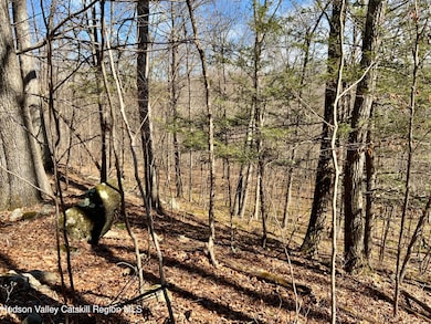 TBD Hawleys Corners Rd, Highland, NY 12528 - photo 3