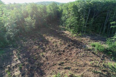 Lot 63-11-1 Ossipee Mountain Rd unit 63/11-1, Ossipee, NH 03864 - photo 5