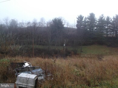 8216 Grassy Lick Rd, Romney, WV 26757 - photo 7