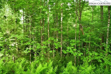 TBD Elk Knob Rd, Laurel Springs, NC 28644 - photo 2