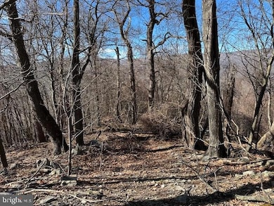 18.08 AC Bear Ridge Rd, New Creek, WV 26743 - photo 5