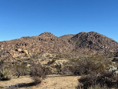 7085 Alturas Dr, Joshua Tree, CA 92252 - photo 2