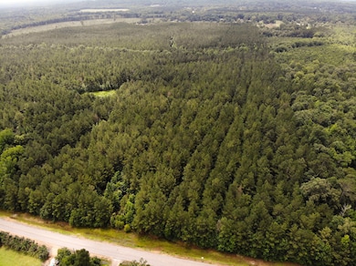 DJI_0641