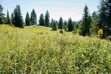 Meadows and Spring