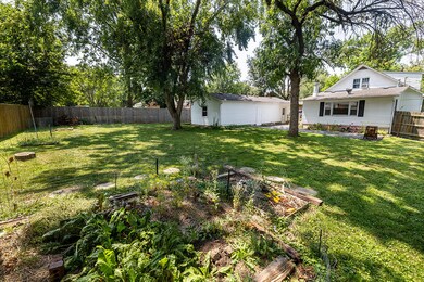Back Yard 2