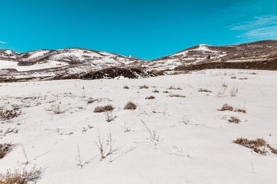 4_Land_high_3827867