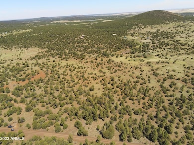 TBD Acr N3263 Parcel 1 -- unit 34, Vernon, AZ 85940 - photo 6