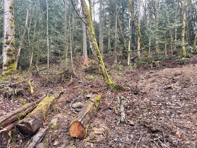 0 Brays Way unit NWM2029894, Bellingham, WA 98226 - photo 3