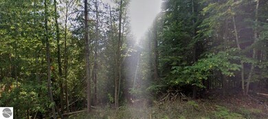 000 Huff Rd, Stronach, MI 49660 - photo 2