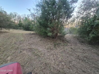 000 Windy Lewis Rd, Bonifay, FL 32425 - photo 3