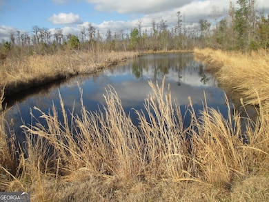 Here is a nice pond already on the property
