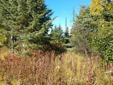 North fork1