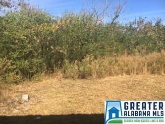 1446 Highway 304 unit 1, Calera, AL 35040 - photo 3