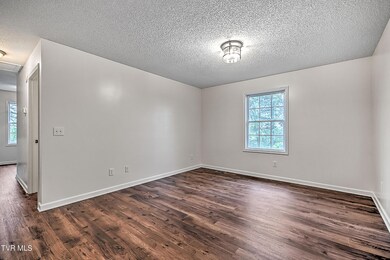 710 E Locust St, Johnson City, TN 37601 - photo 7