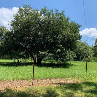 unlisted-address, Tylertown, MS 39667 - photo 6