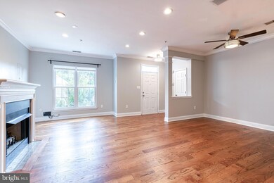 8716 Green Field Ct, Odenton, MD 21113 - photo 7