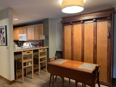 3A Trailside Village Way unit G 11, Dover, VT 05356 - photo 3