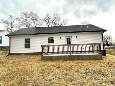 115 Burt St, Shelbyville, TN 37160 - photo 3