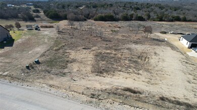 217 Latigo Way, Weatherford, TX 76088 - photo 5