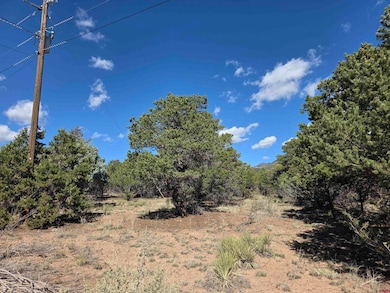 555 Arapaho Rd, South Fork, CO 81154 - photo 5