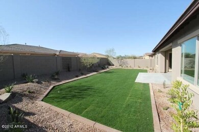 Backyard 2