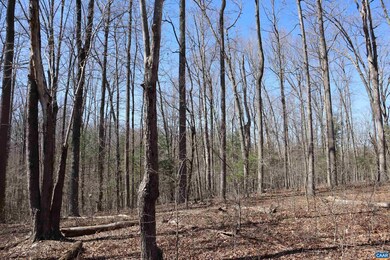 Lot 53 Hemlock Creek Ct, White Hall, VA 22936 - photo 5