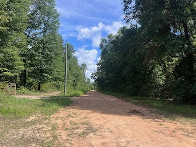 8075 Pinetree Dr, Donalsonville, GA 39845 - photo 7