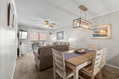 Carpeted dining space with ornamental molding, ceiling fan, and a textured ceiling