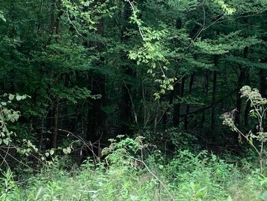 0 Lucian Sorrel Rd, Broken Bow, OK 74728 - photo 7