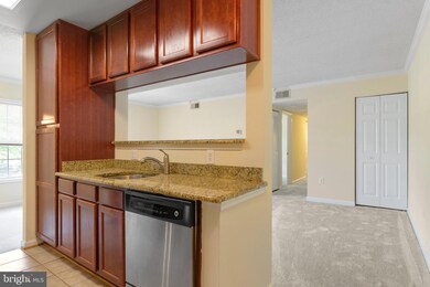 15633 Horseshoe Ln unit 633, Woodbridge, VA 22191 - photo 4