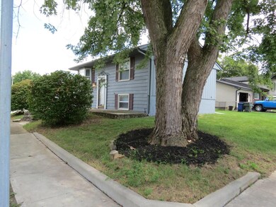 3102 carnation 8-27-22 (15)