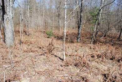 0 S 230th Ave, Lincoln Township, MI 49677 - photo 5