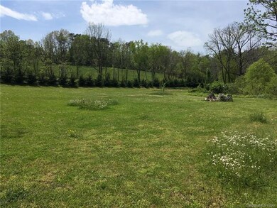 895 Old Leicester Hwy, Asheville, NC 28806 - photo 2