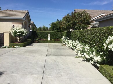 SPRING BLOOMS COMING SOON.