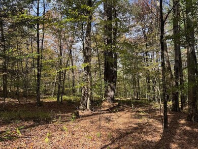 491 Tamarac Rd, Oxford, NY 13830 - photo 2