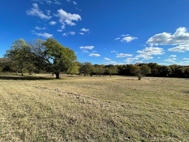 125 Harter Ln, Azle, TX 76020 - photo 2