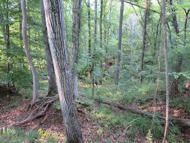 0 County Line Rd, Lumpkin, GA 31815 - photo 3