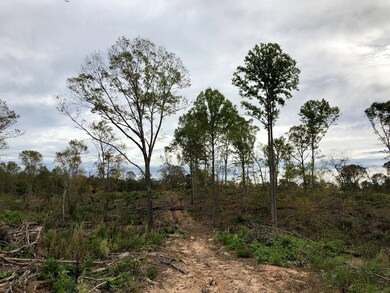 1784 Hartwell Hwy, Elberton, GA 30635 - photo 6