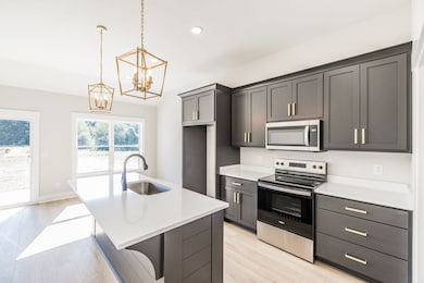 Custom cabinetry, quartz countertops and designer finishes~