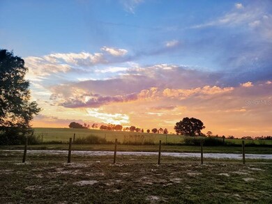 6951 SE 210 Ave, Morriston, FL 32668 - photo 3